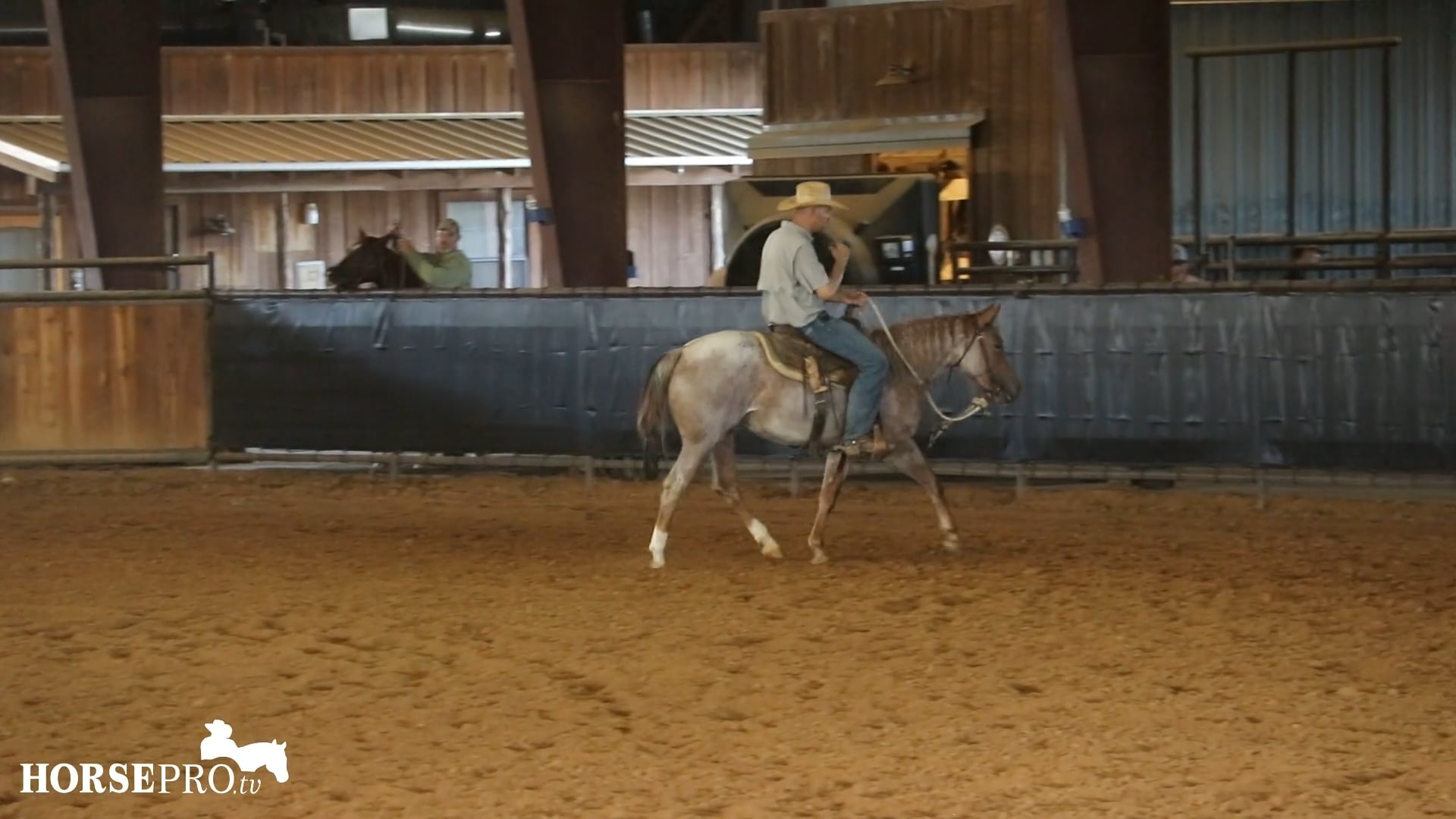 Episode 18: Getting a Horse’s Mind Focused on You
