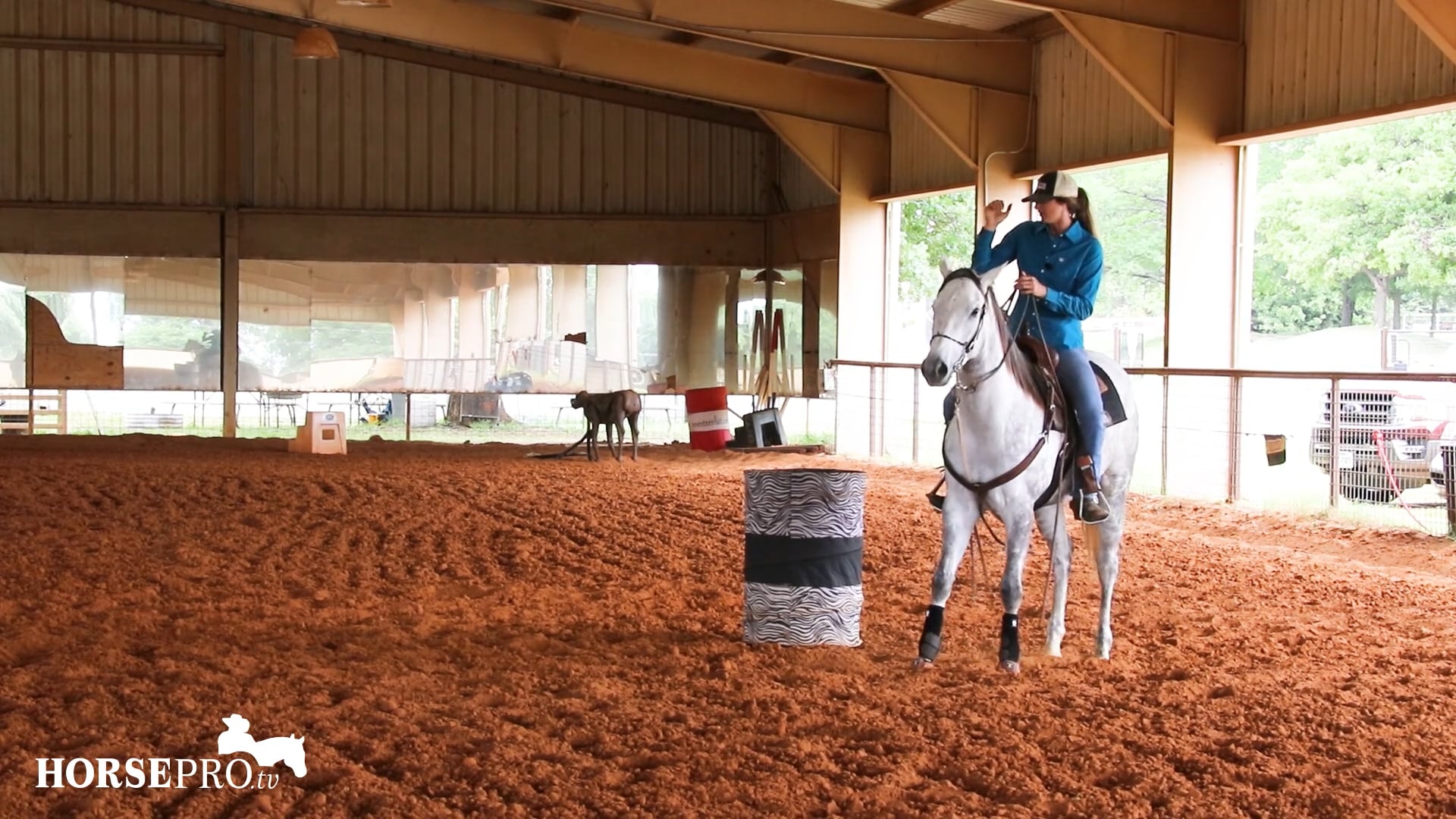 Working a Horse that Tries to Climb Out of a Turn