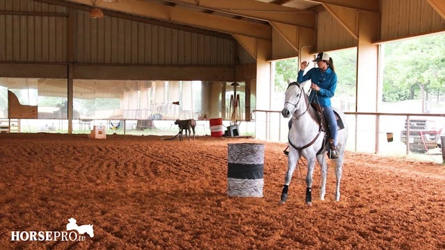 Working a Horse that Tries to Climb O...
