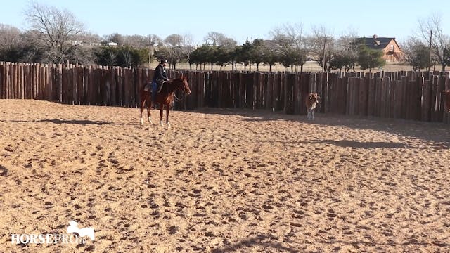 Episode 2: Ranch Mare Working out of ...