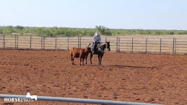 Circling a Cow