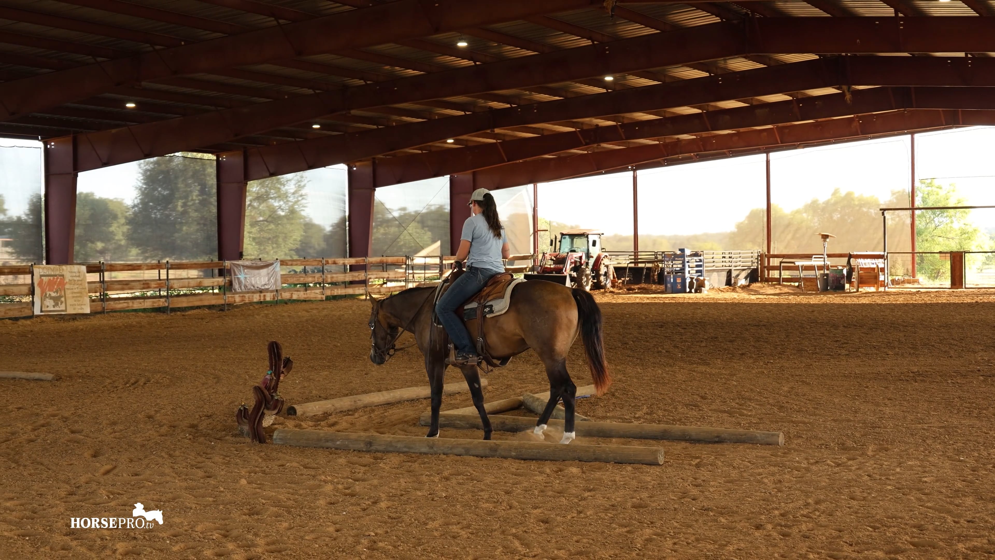 Episode 8: Teaching the Back Through