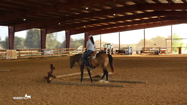 Episode 8: Teaching the Back Through