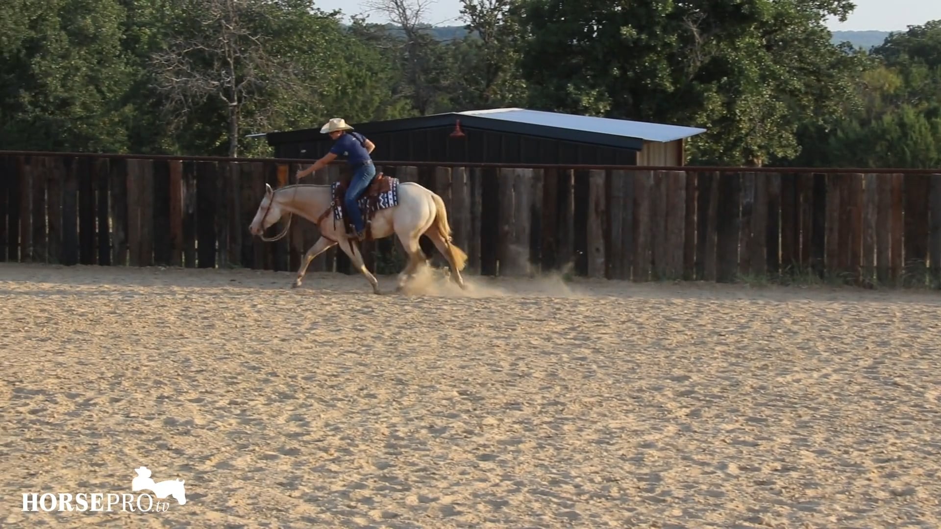 Episode 16: Efficiency in Transitions