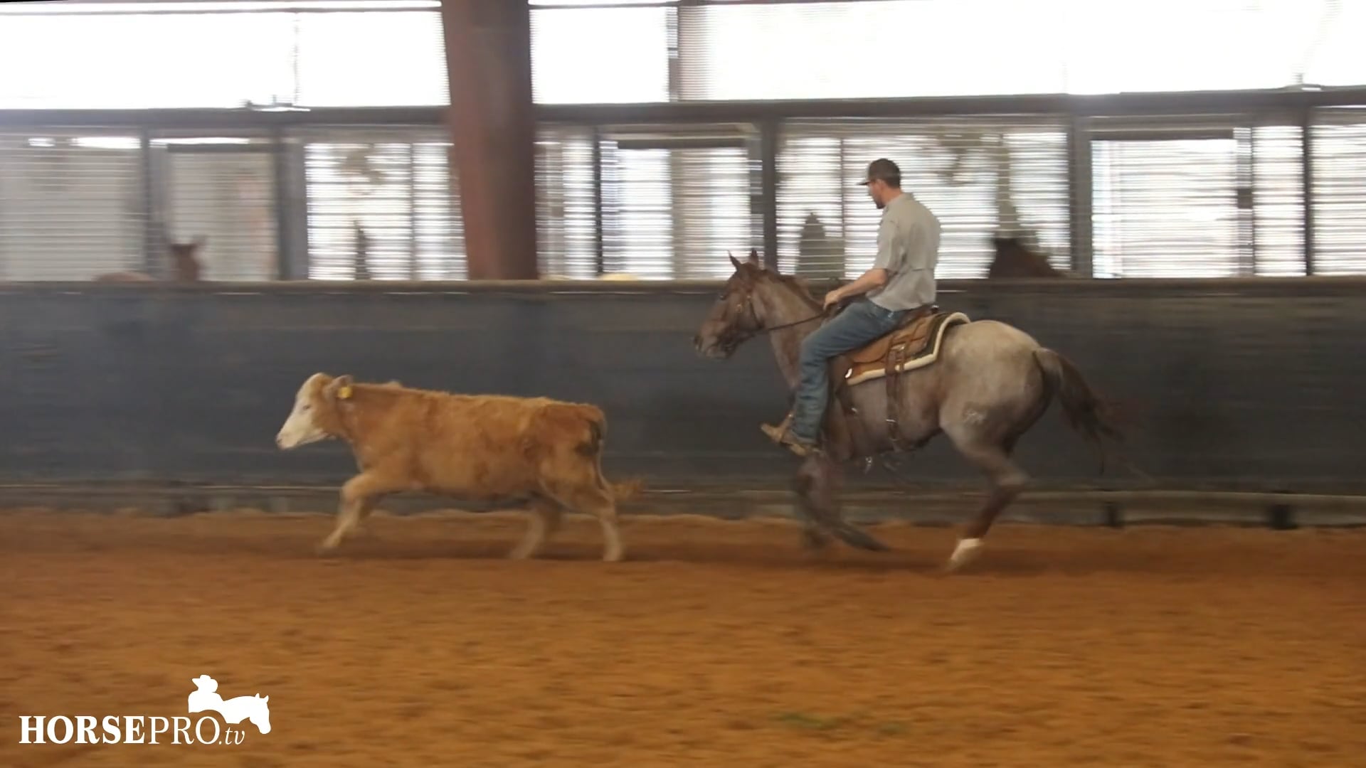 Episode 5: Fence Work with Pam Preparing for a Show