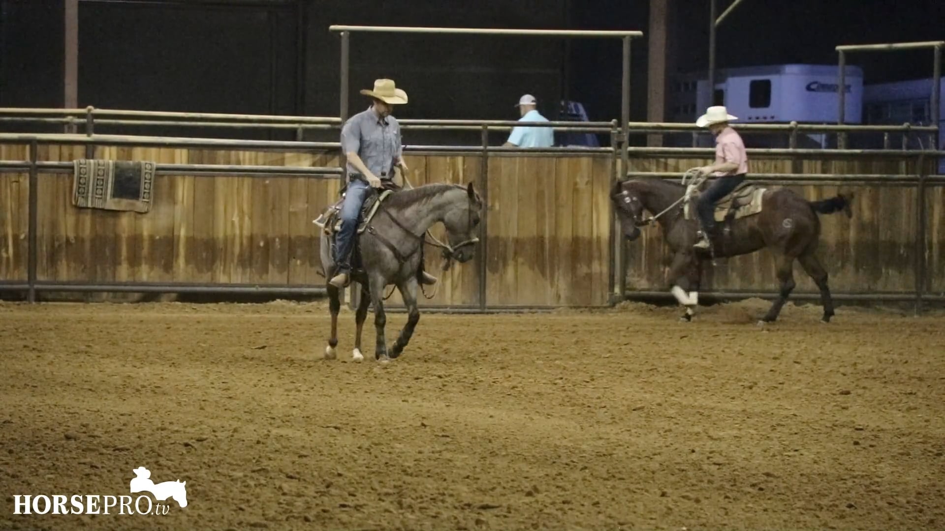 Episode 14: Starting in the Hackamore and Hinging