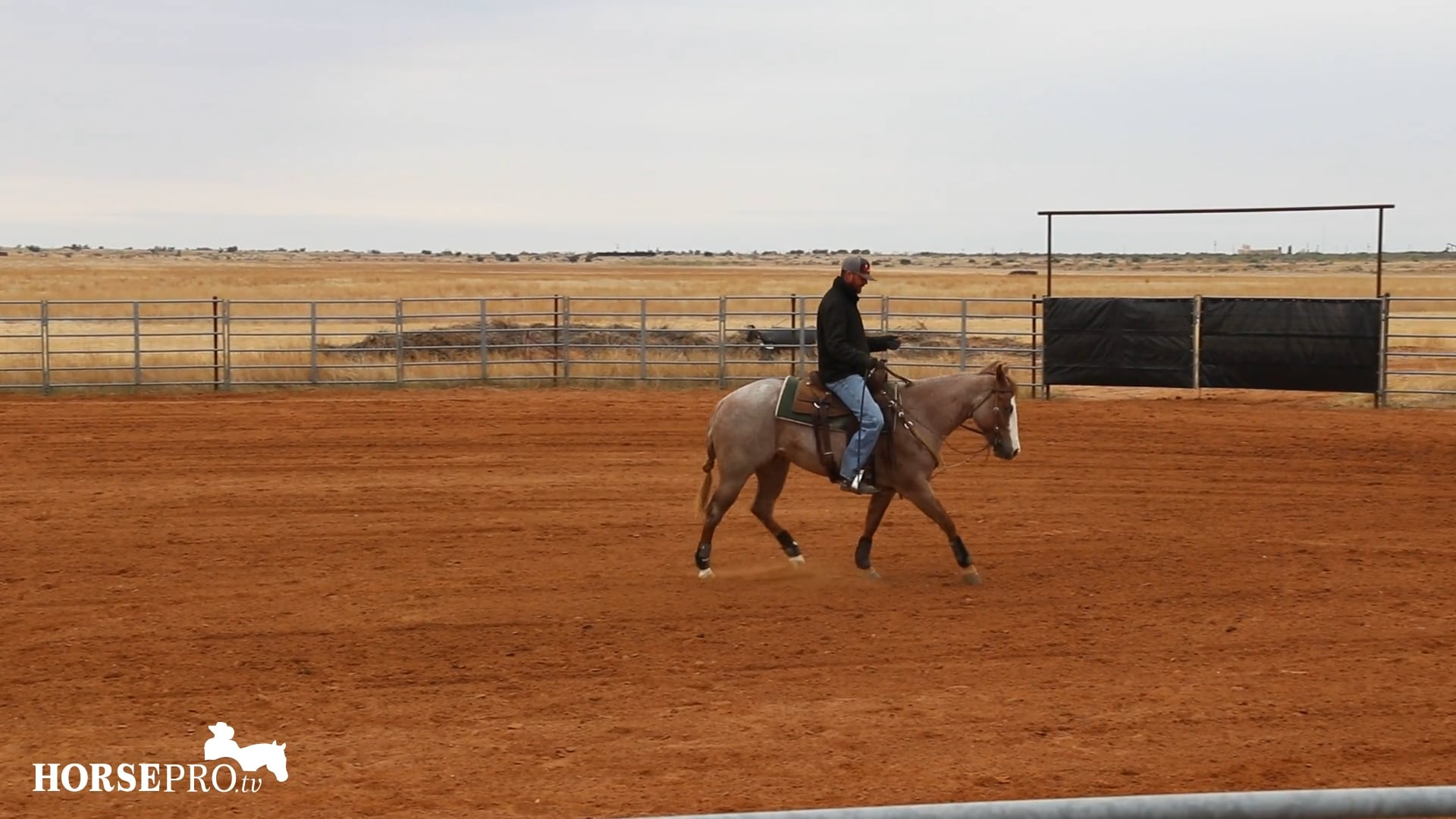 Teaching a 3 Year Old Lead Changes