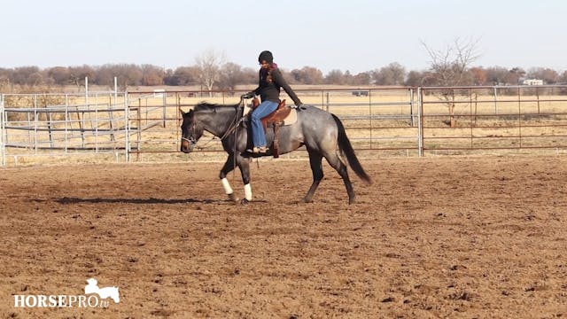 Preparing Cody for a Practice Run