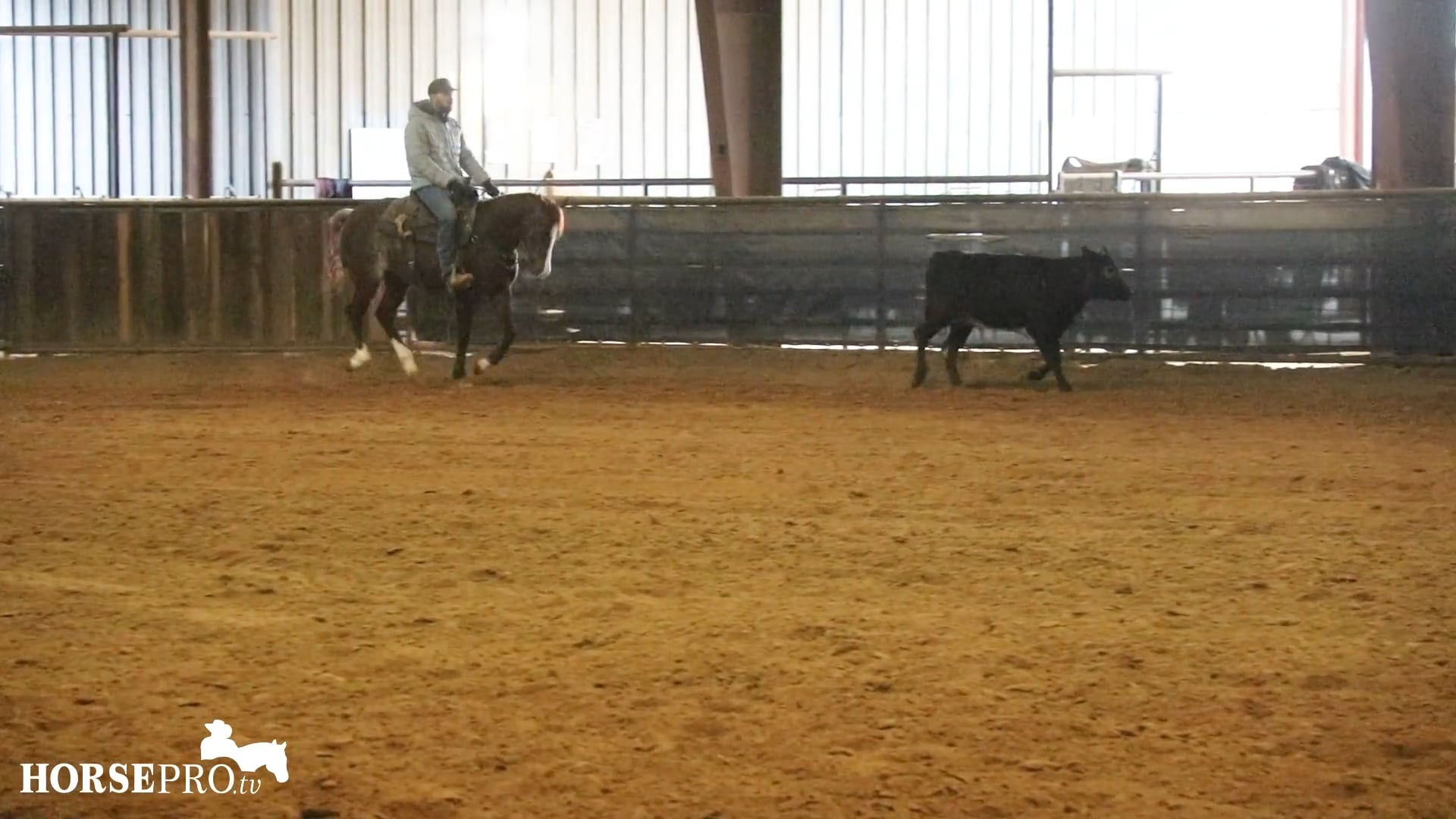 Episode 8: Beginning Fence Work with a 3 Year Old