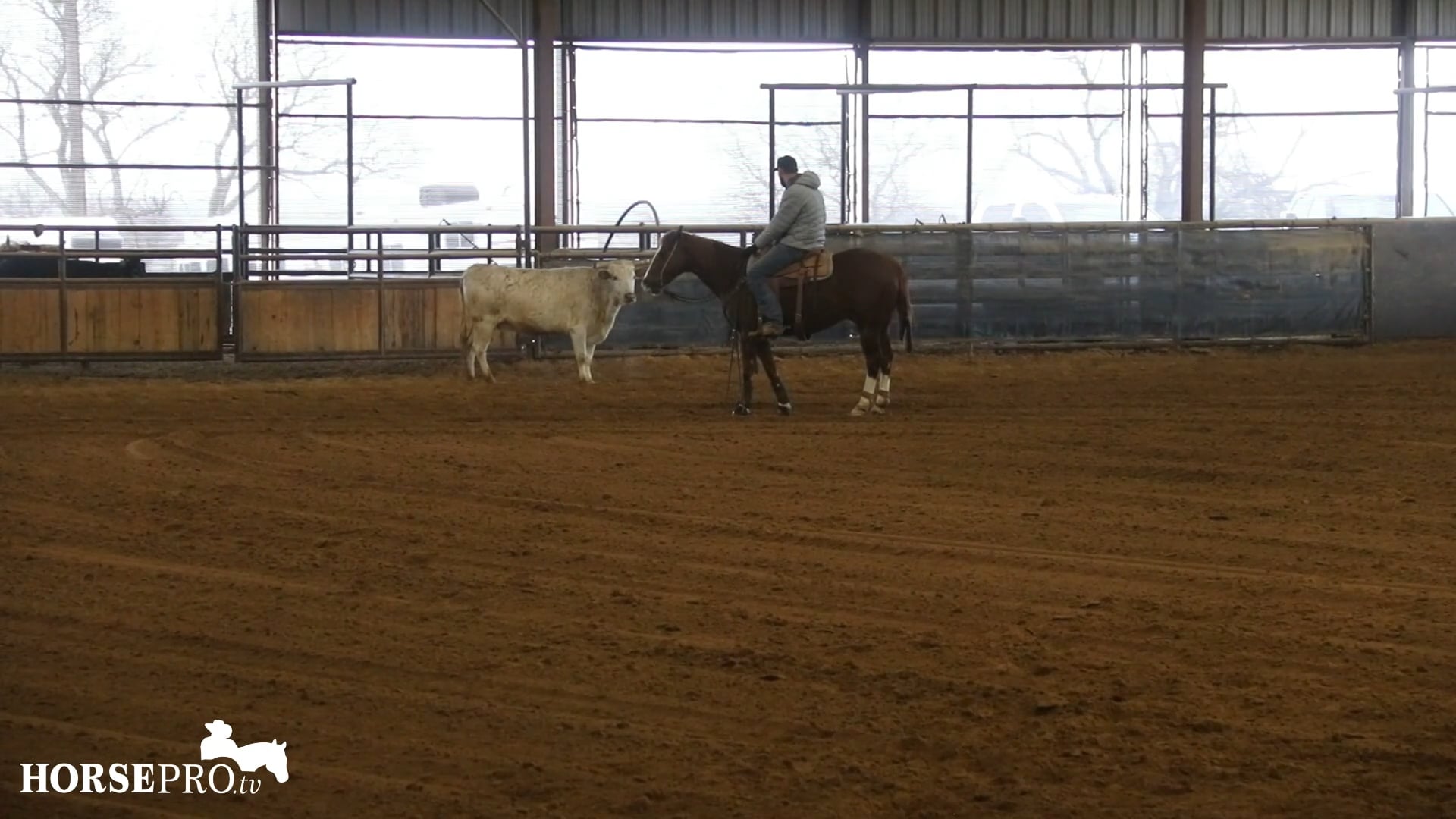 Episode 7: Getting a Horse to take more Responsibility