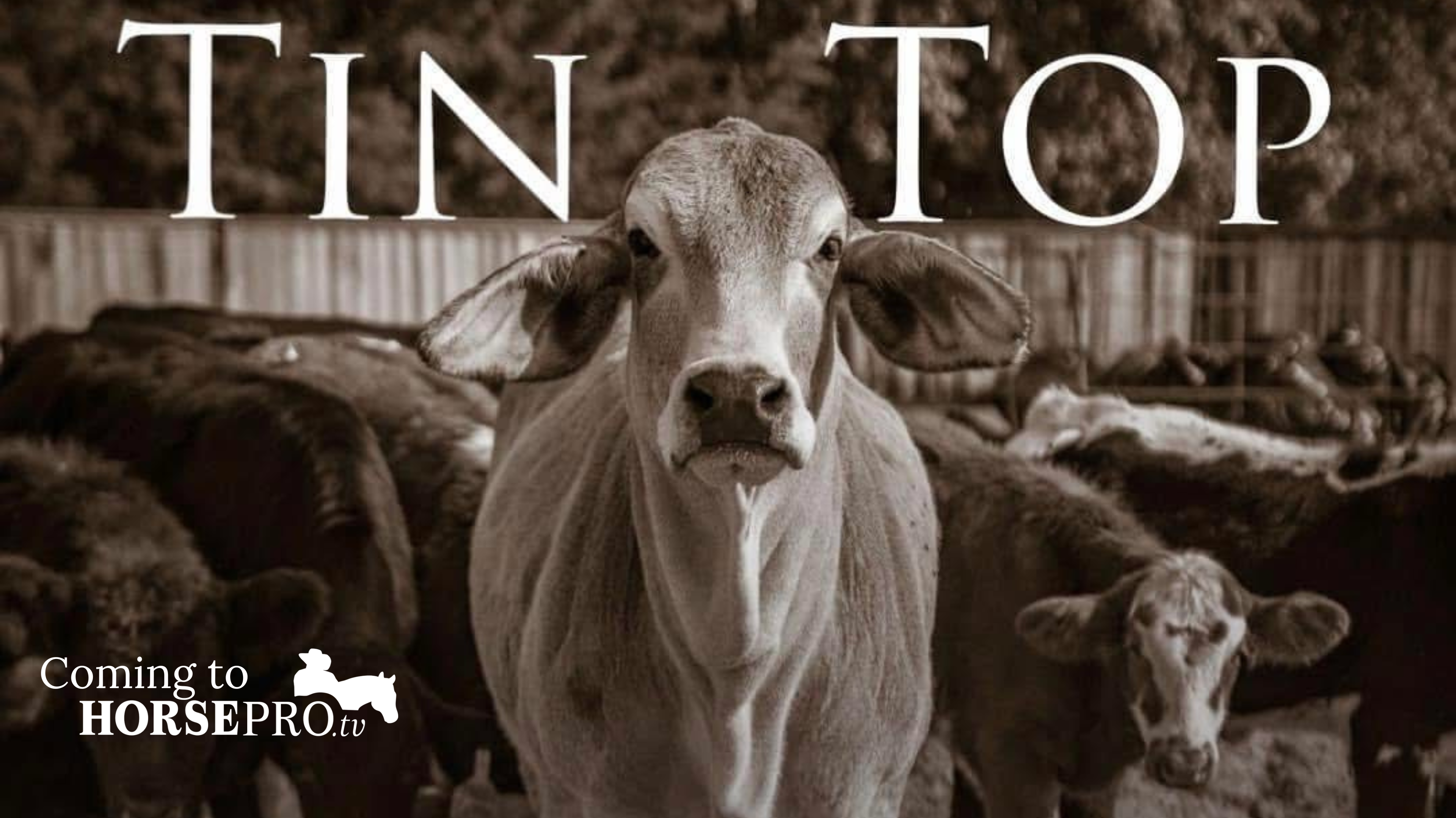 Behind the Scenes: The Making of Tin Top