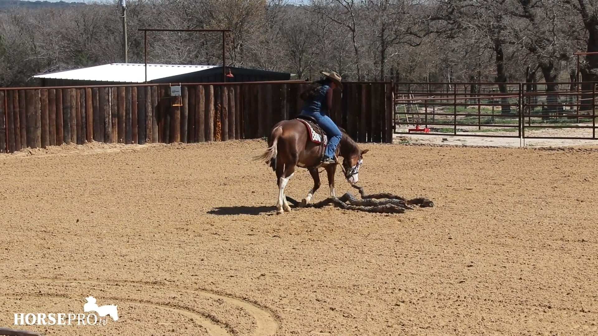 Episode 7: Walking Over Logs with Dually