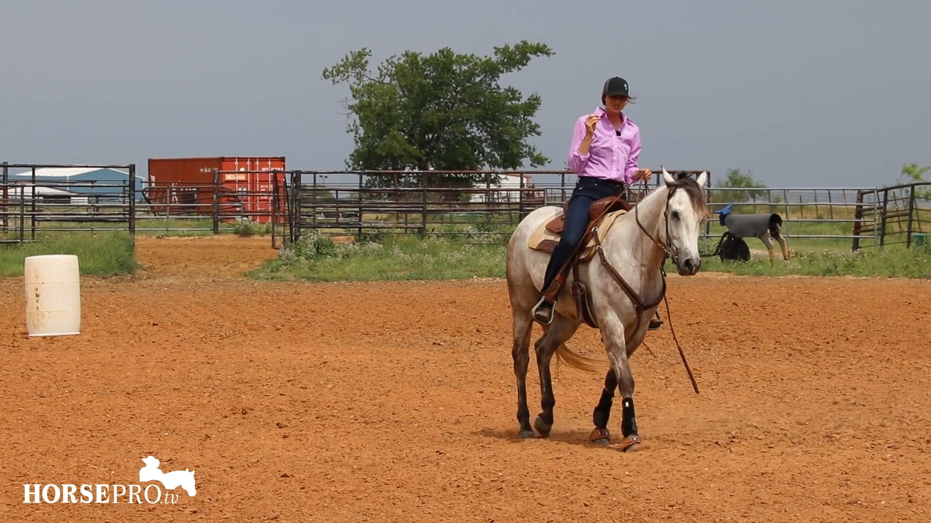Working the Pattern on a Front End Heavy Horse (Ice)