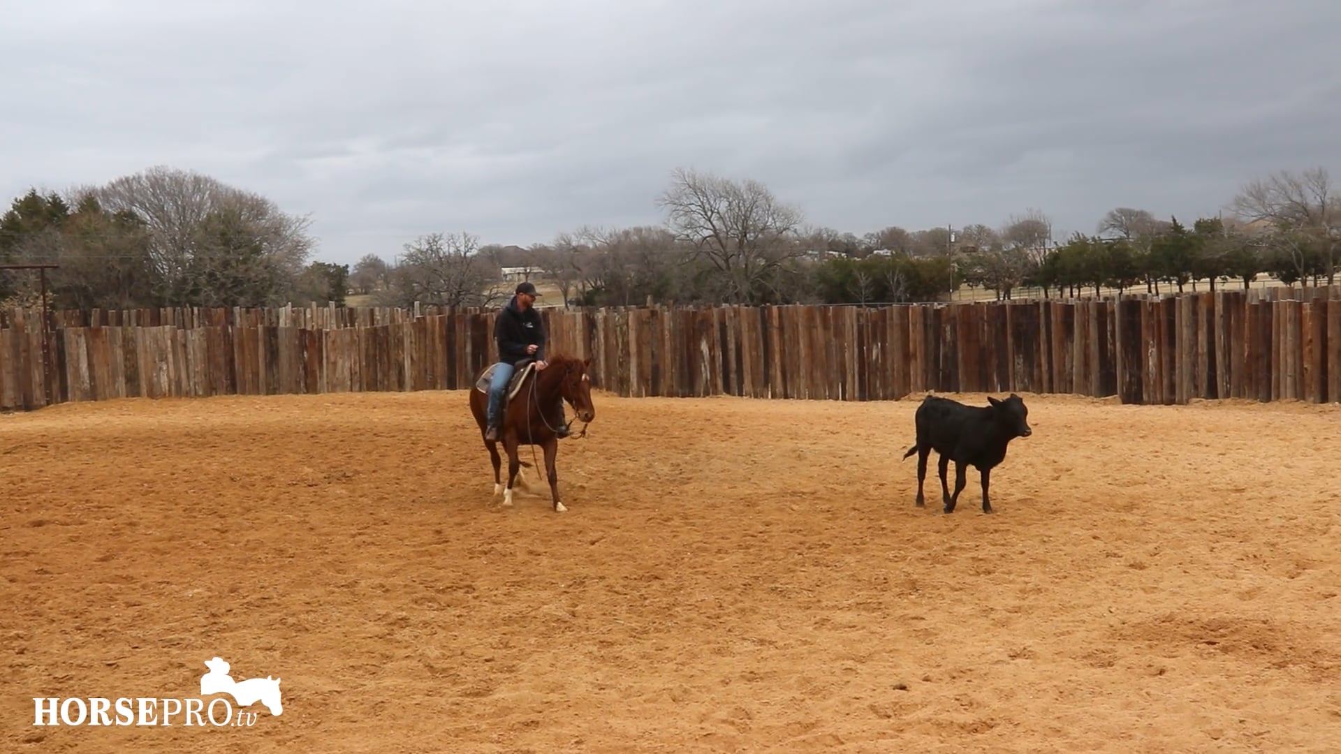 Episode 3: Working Through a Hot and Distracted Horse