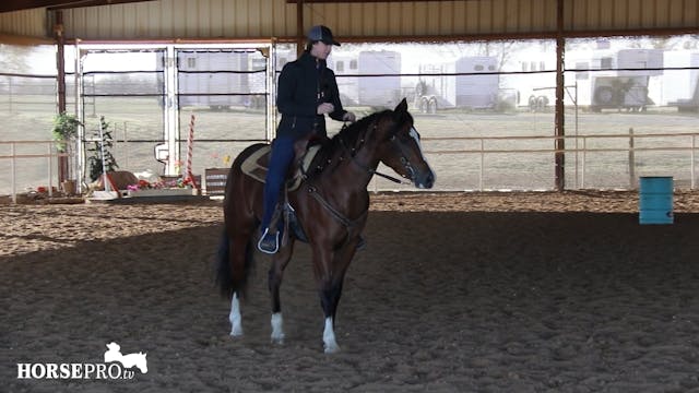 Keeping a Young Horse from Getting Sh...