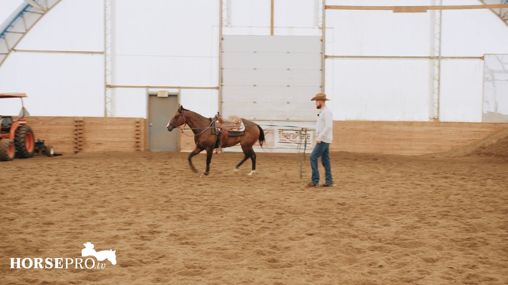 Episode 12: Lunging a Pushy Horse