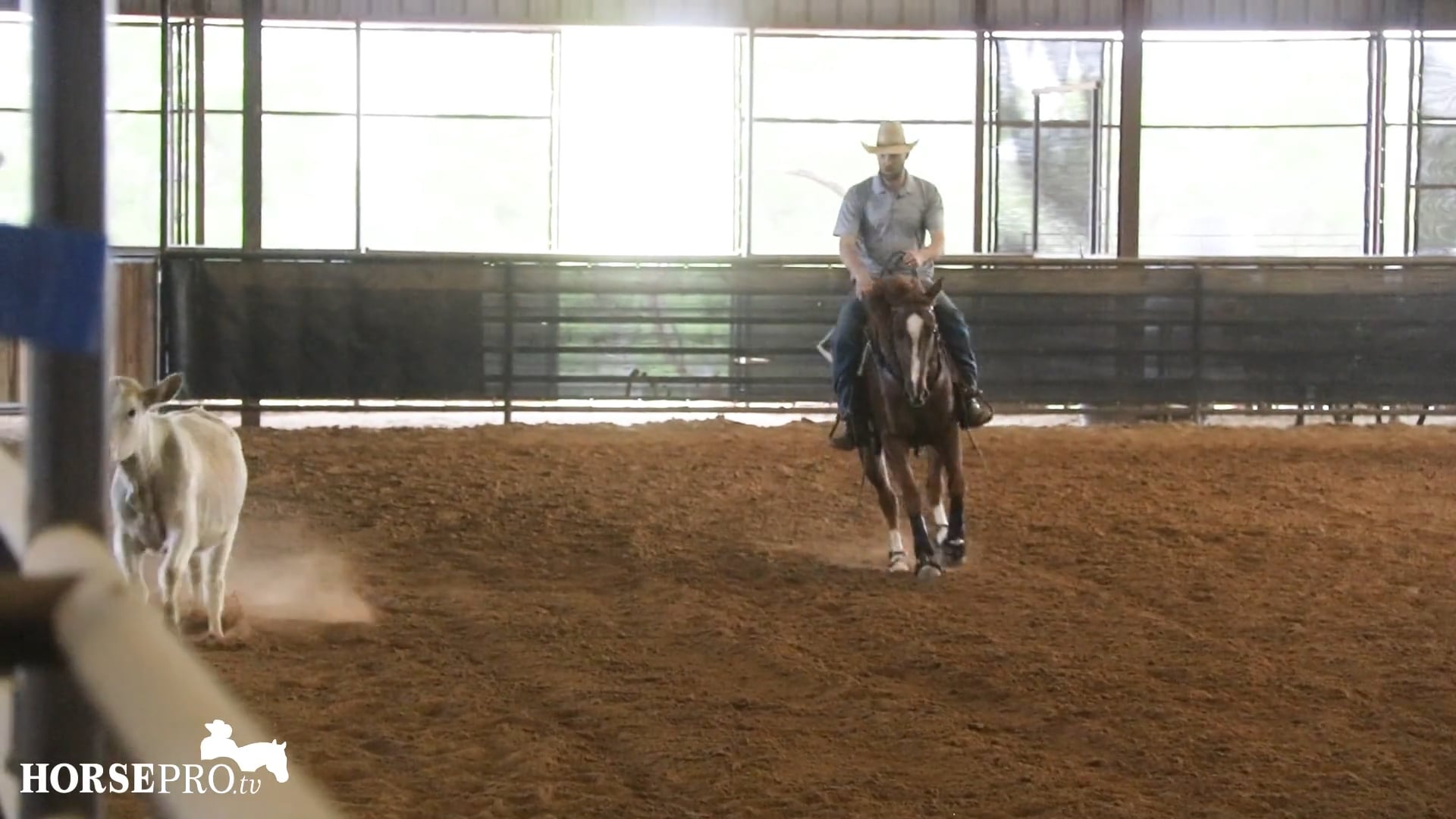 Episode 12: Working a New Derby Horse on Cows