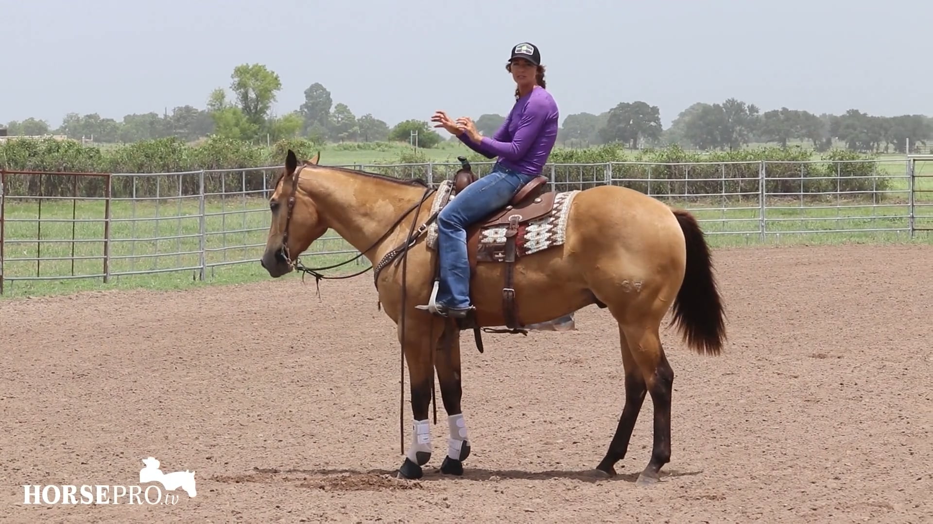 Ashley Schafer Working Toby