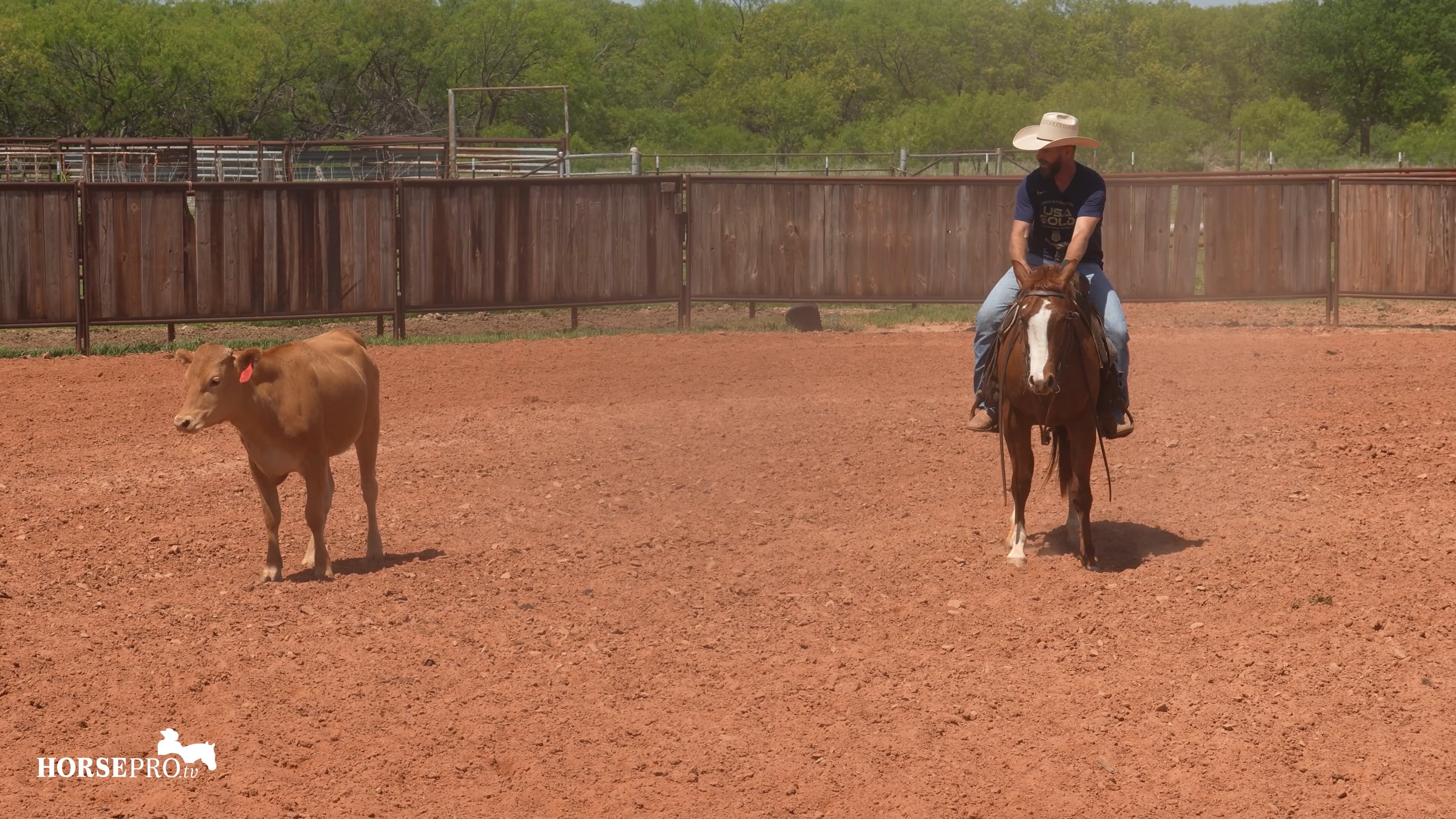 Episode 6: Week 6 on Cows