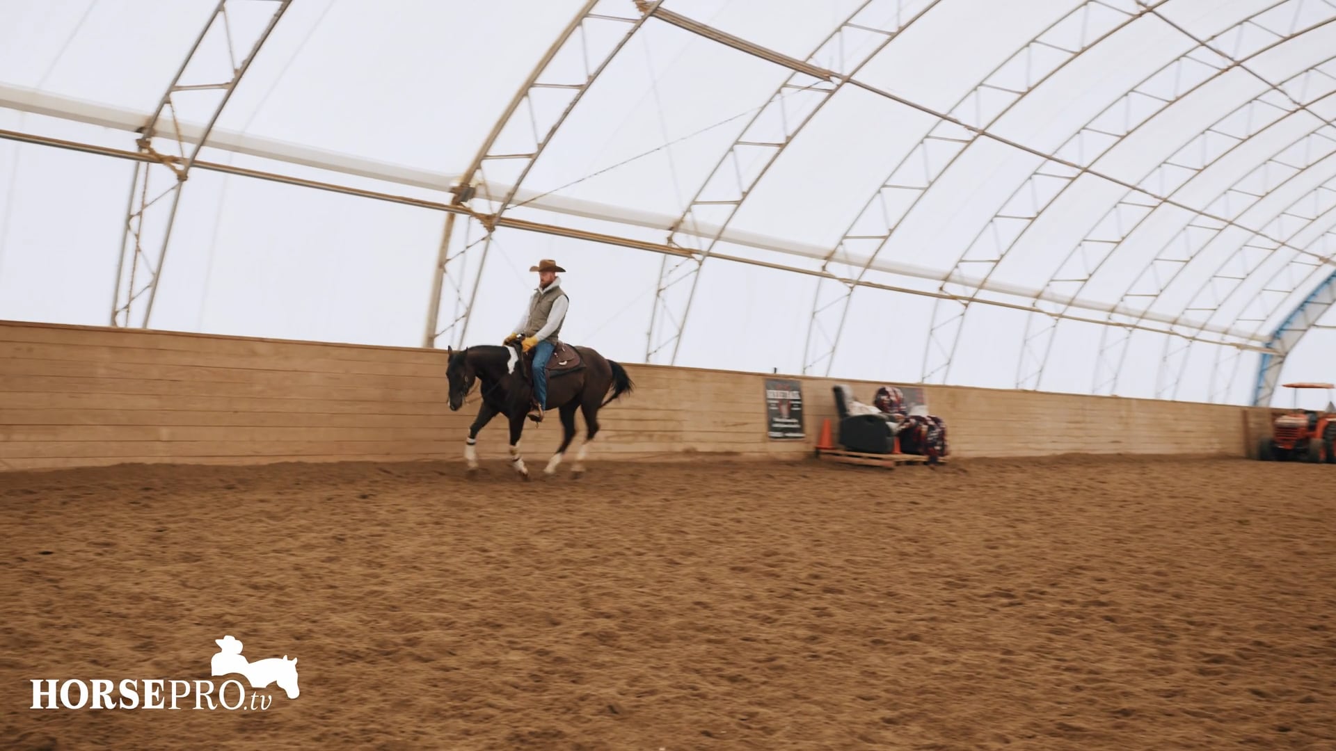 Episode 2: Stopping a Young Horse