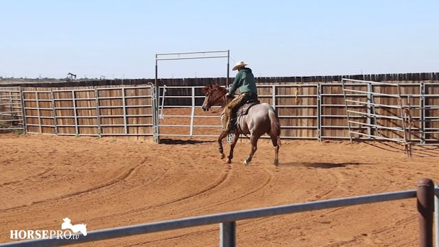Getting a Horse Warmed up After a Big...