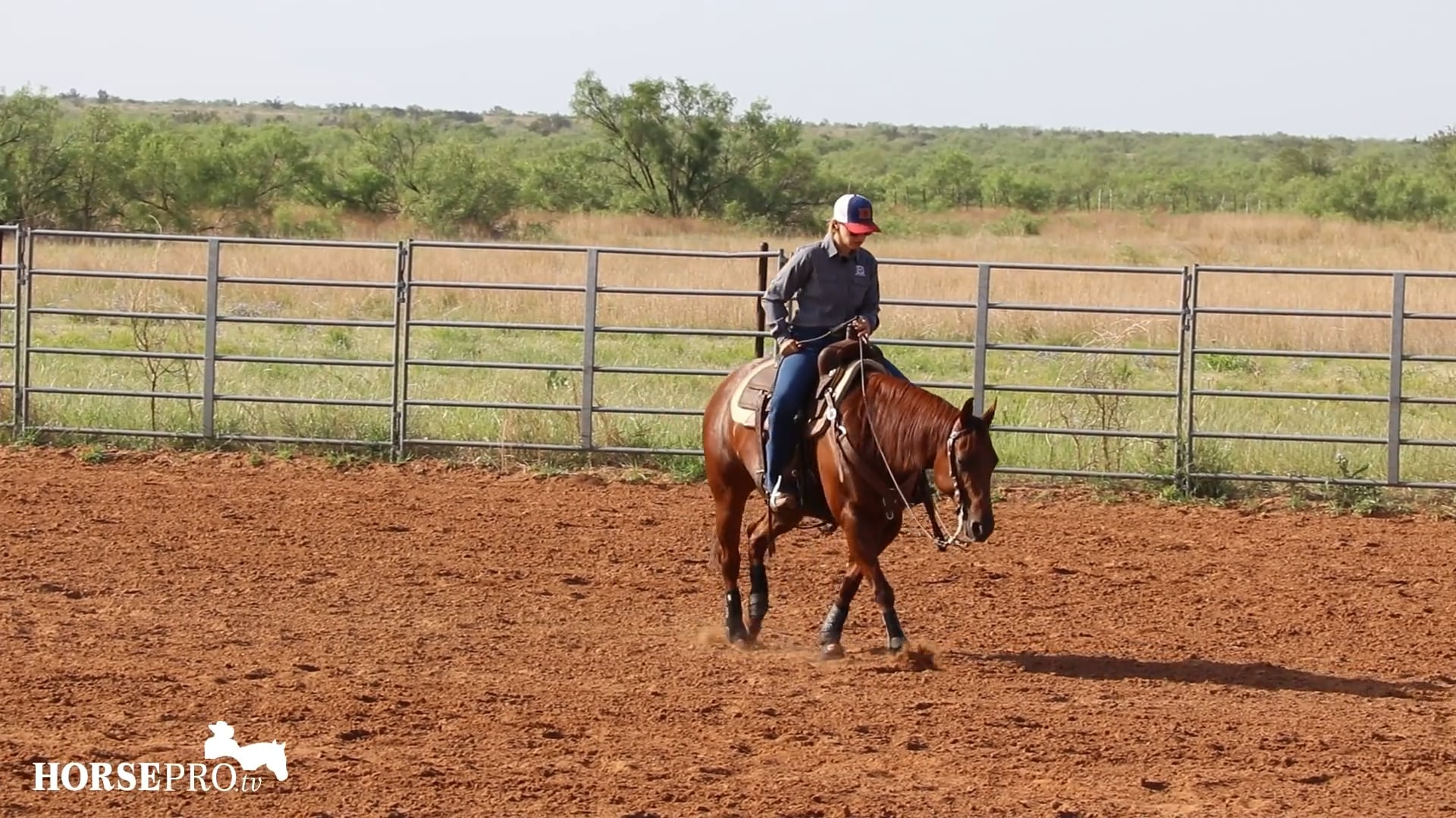 Preparing for Ranch Riding Class