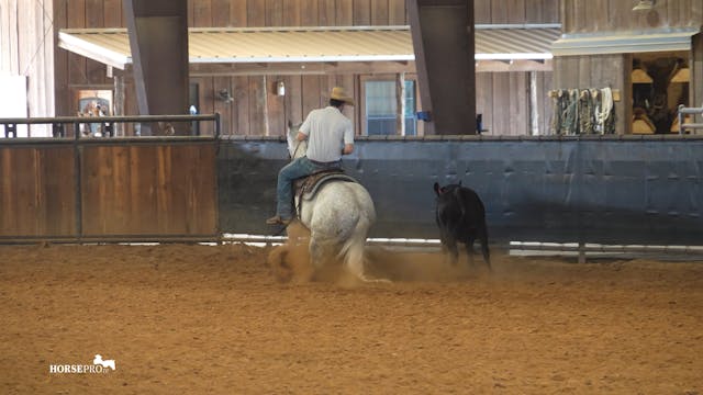 Episode 14: Working a Cow Before a Show