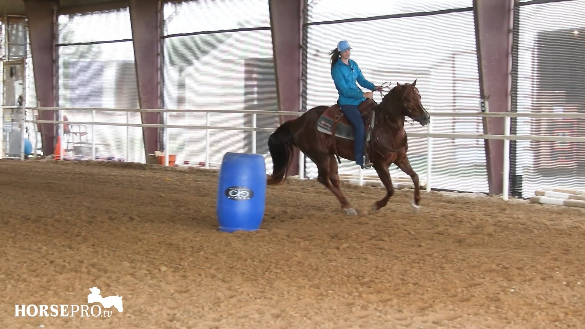 Bringing a Horse Back from Time Off