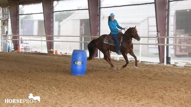 Bringing a Horse Back from Time Off