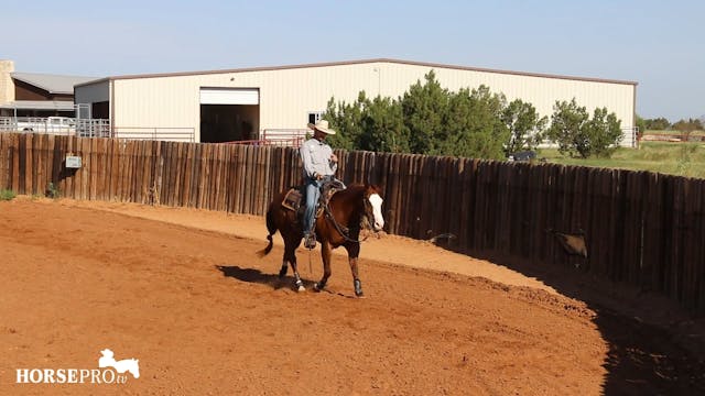 Starting a Reiner on the Flag