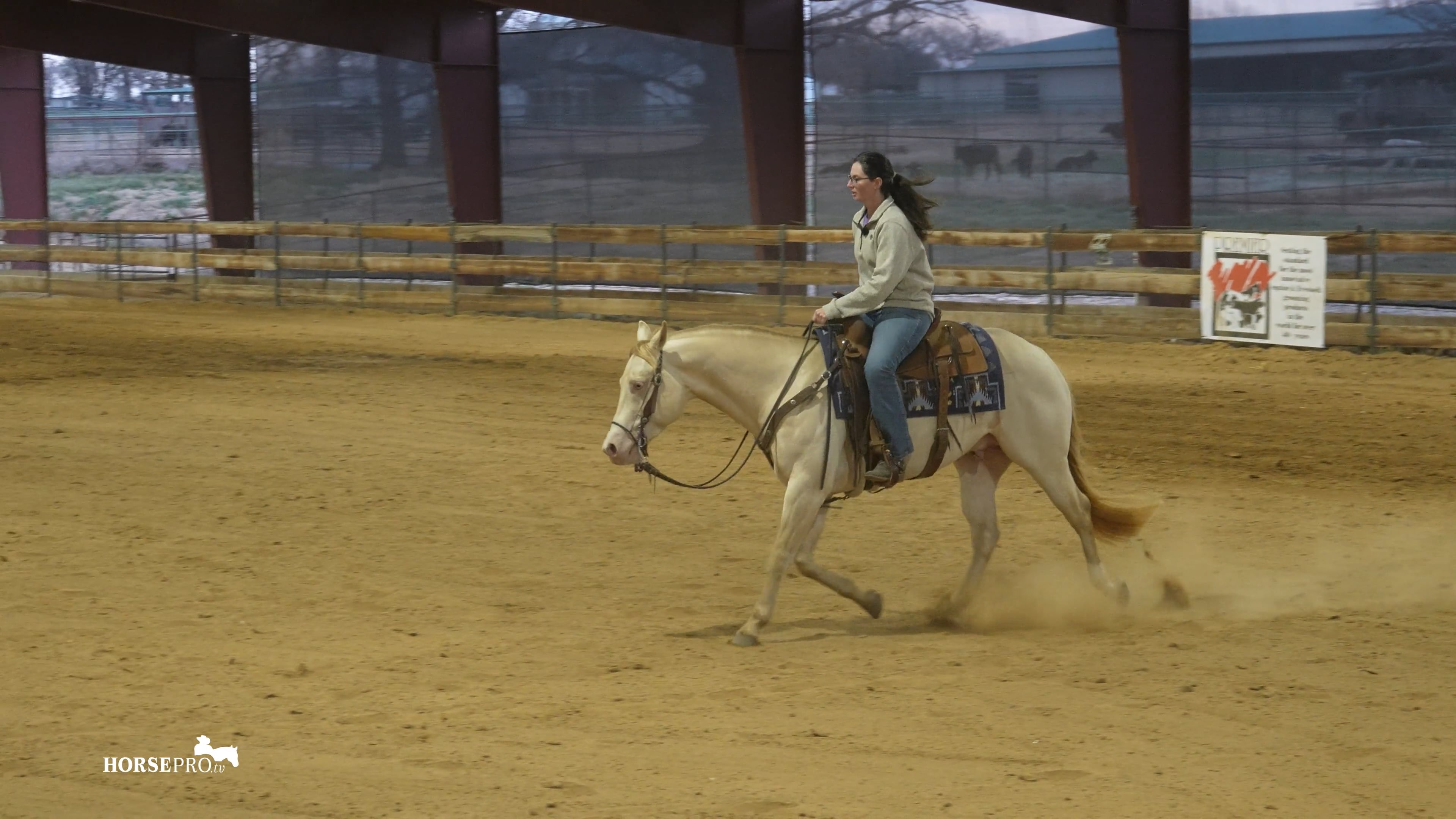 Episode 2: Correcting Your Horse on AQHA Pattern 11