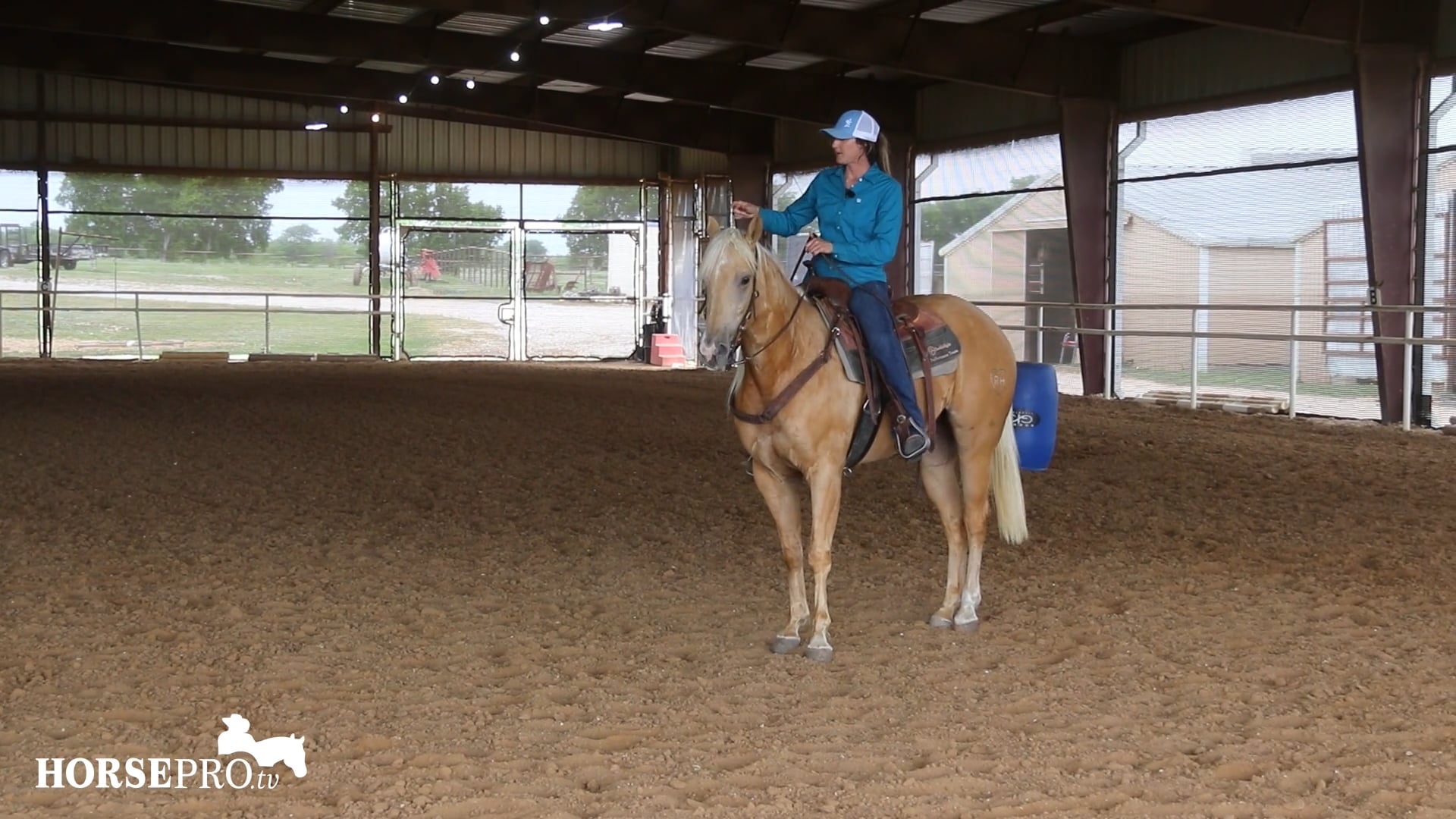 Getting a Horse to Break Loose in the Ribcage