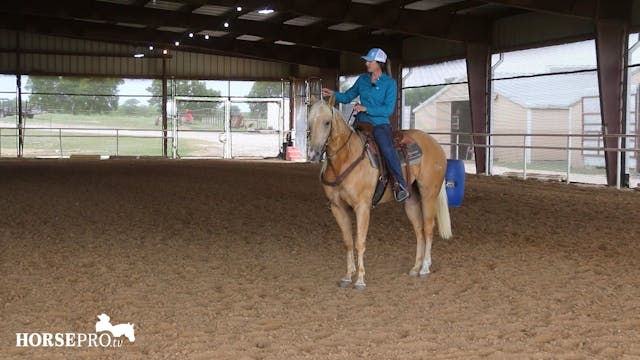 Getting a Horse to Break Loose in the...