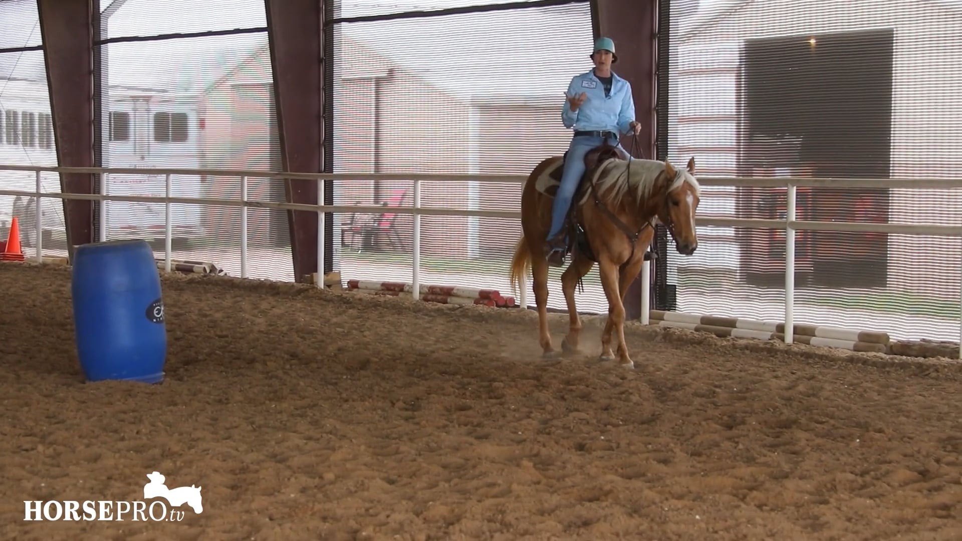 Bringing a Horse Back into Training after Time Off