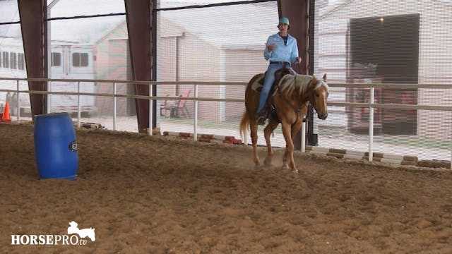 Bringing a Horse Back into Training a...