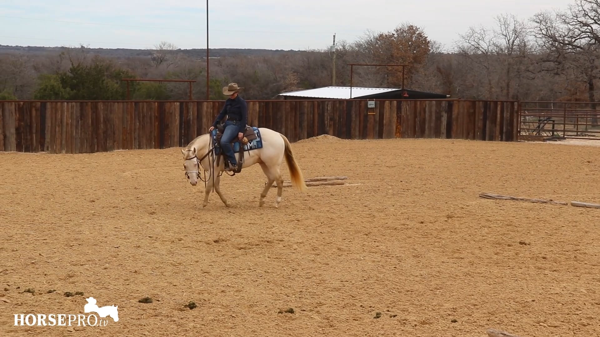 Episode 4: Circles and Turn Arounds