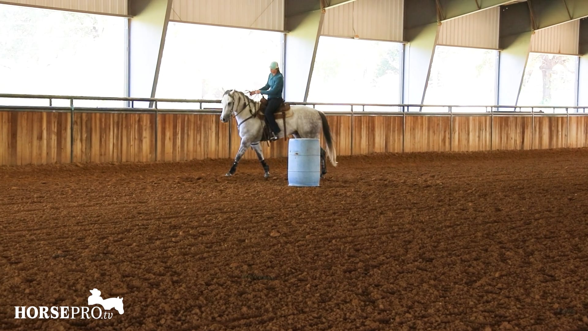 Addressing Small Issues in a Futurity Horse