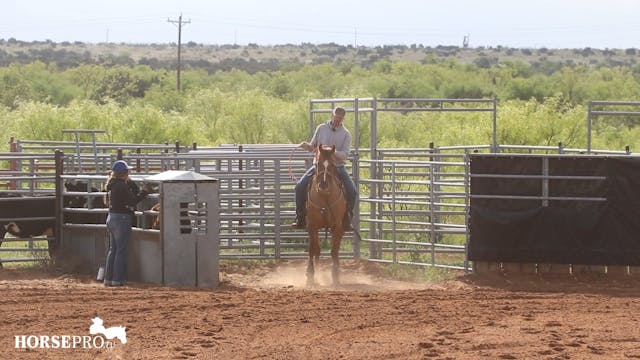 Bringing a Horse Back After Time Off