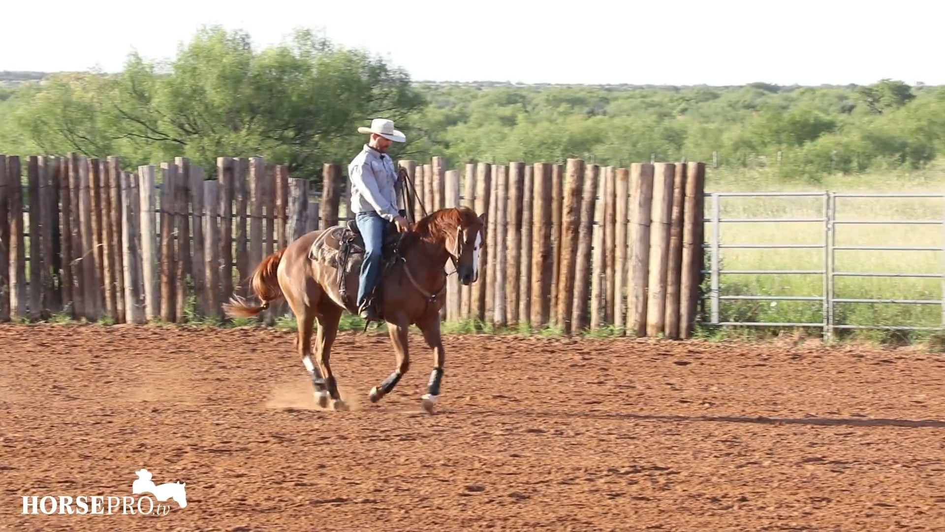 Developing a Steering Wheel