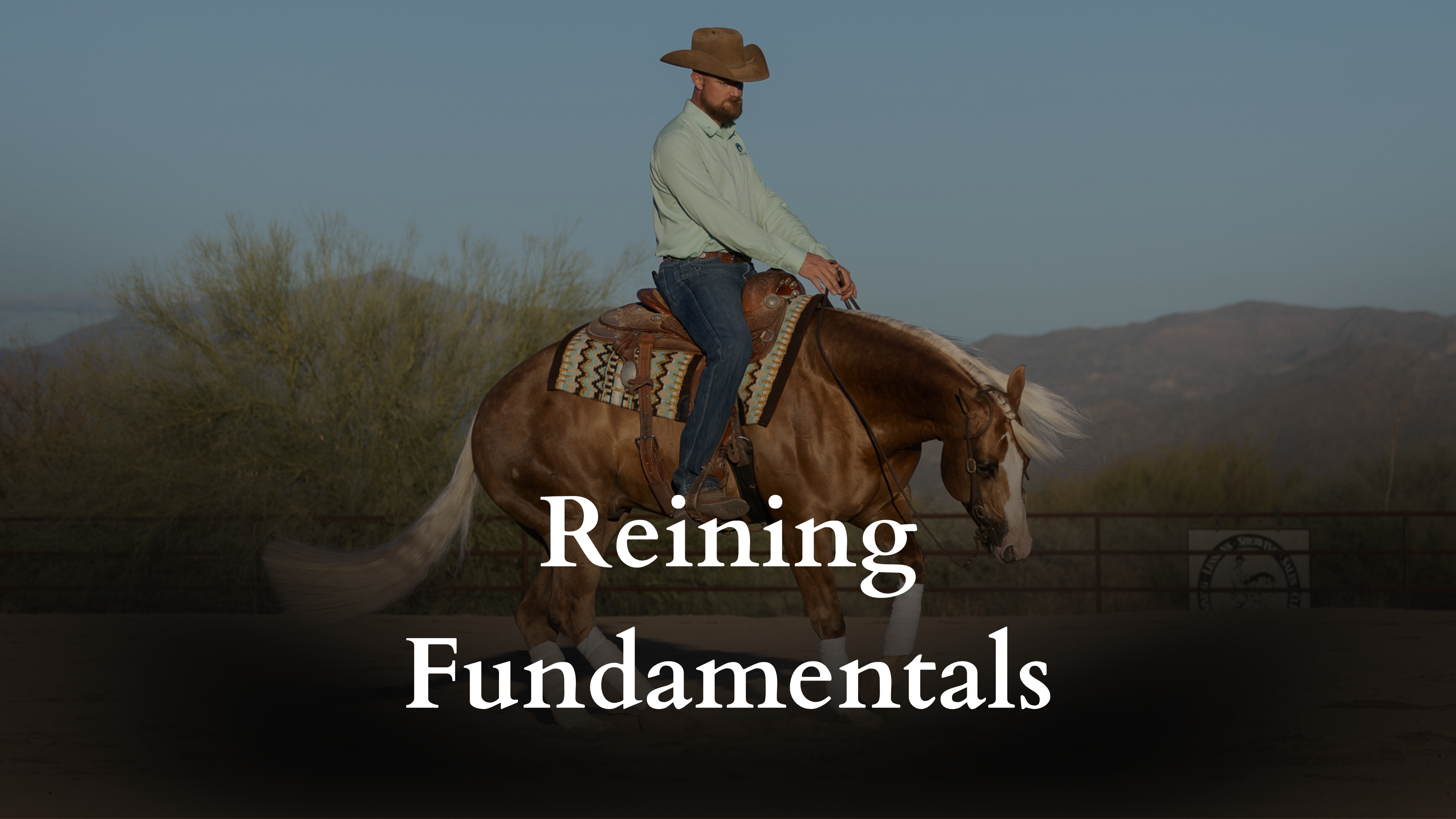 Reining Fundamentals