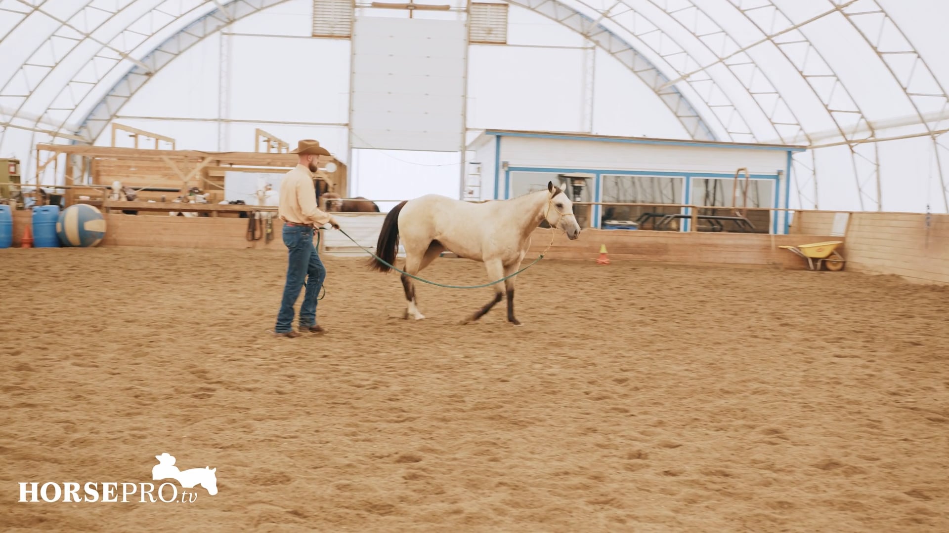 Episode 14: Introducing a New Colt