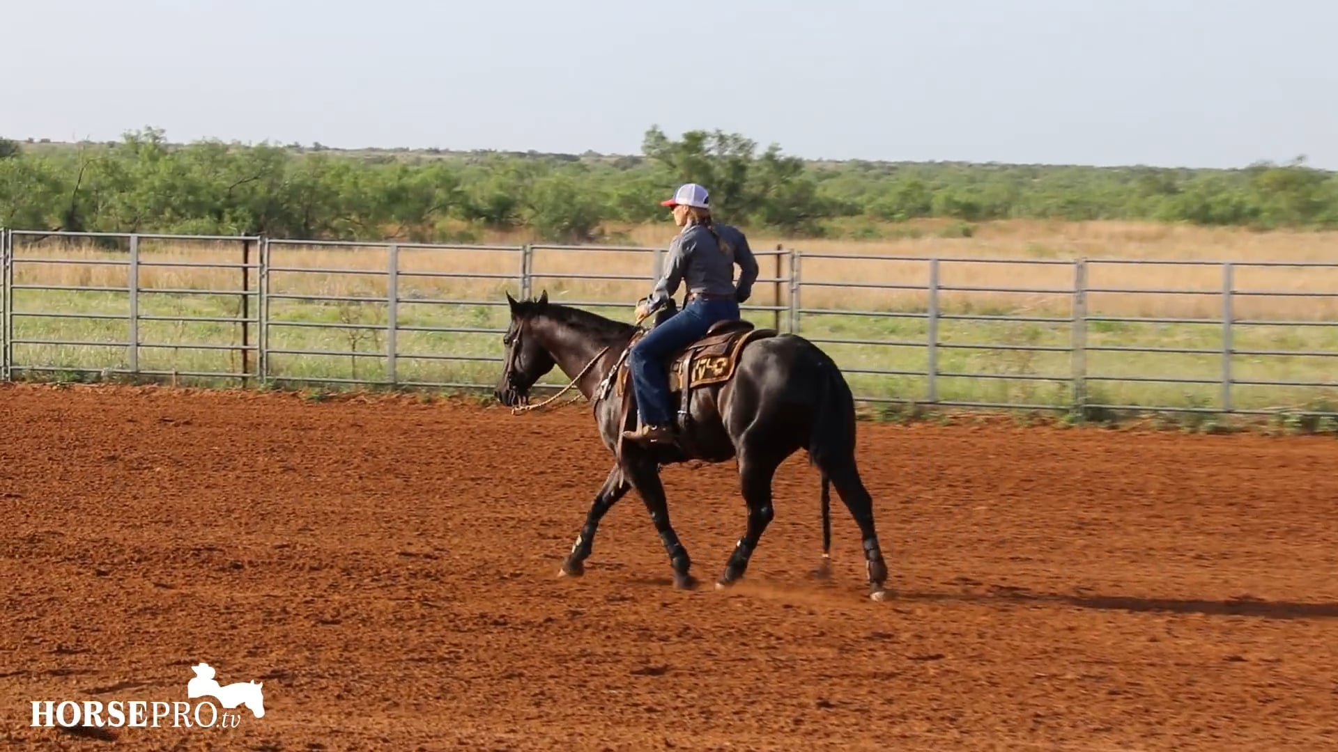 Preparing for Ranch Versatility Show
