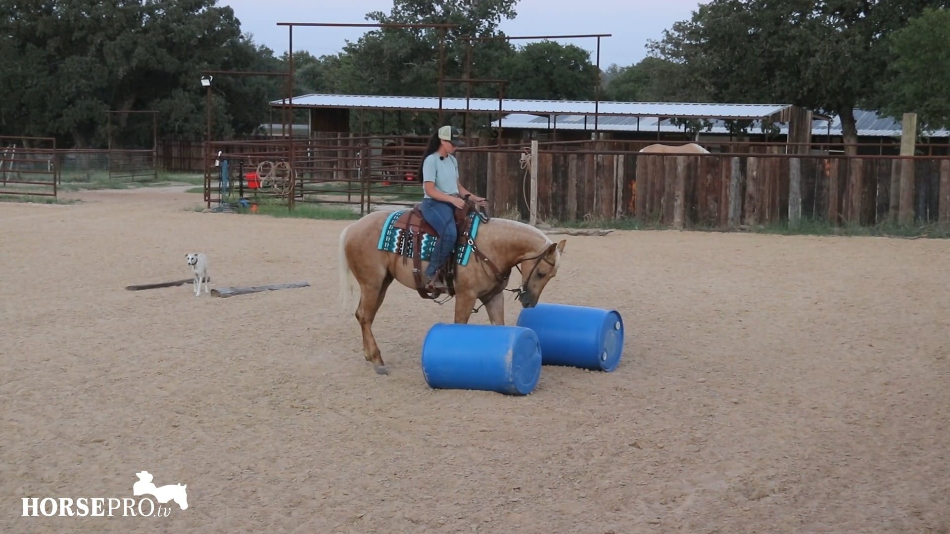 Episode 19: Trail Obstacles with a New Horse