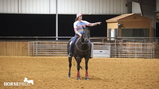 Working a Strong Open Horse