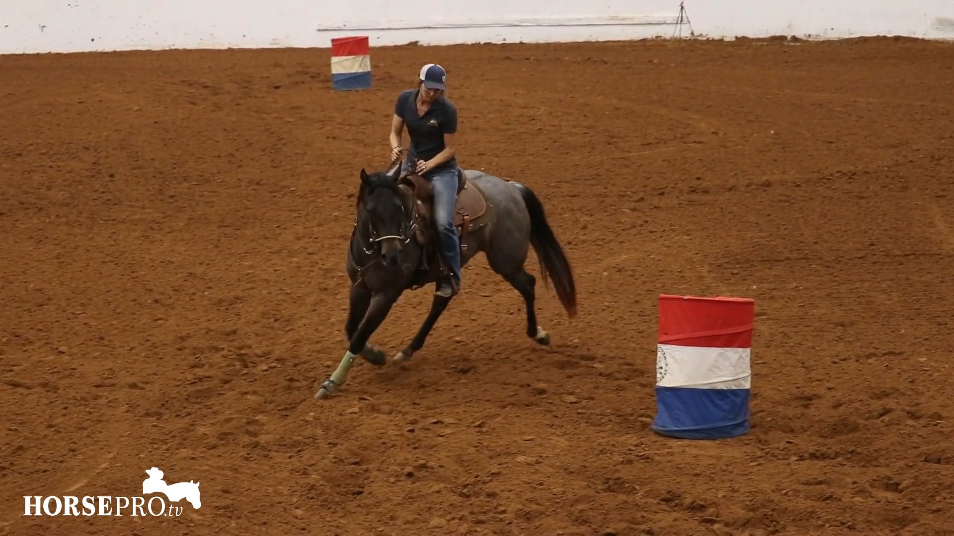 Taking Colts to Their First Exhibition-Part 1