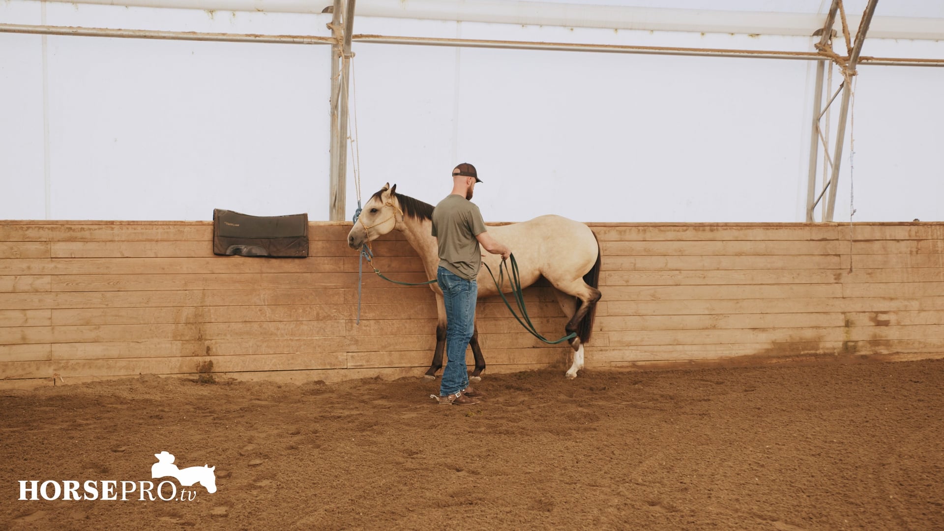 Episode 15: Ground Work with a Young Horse