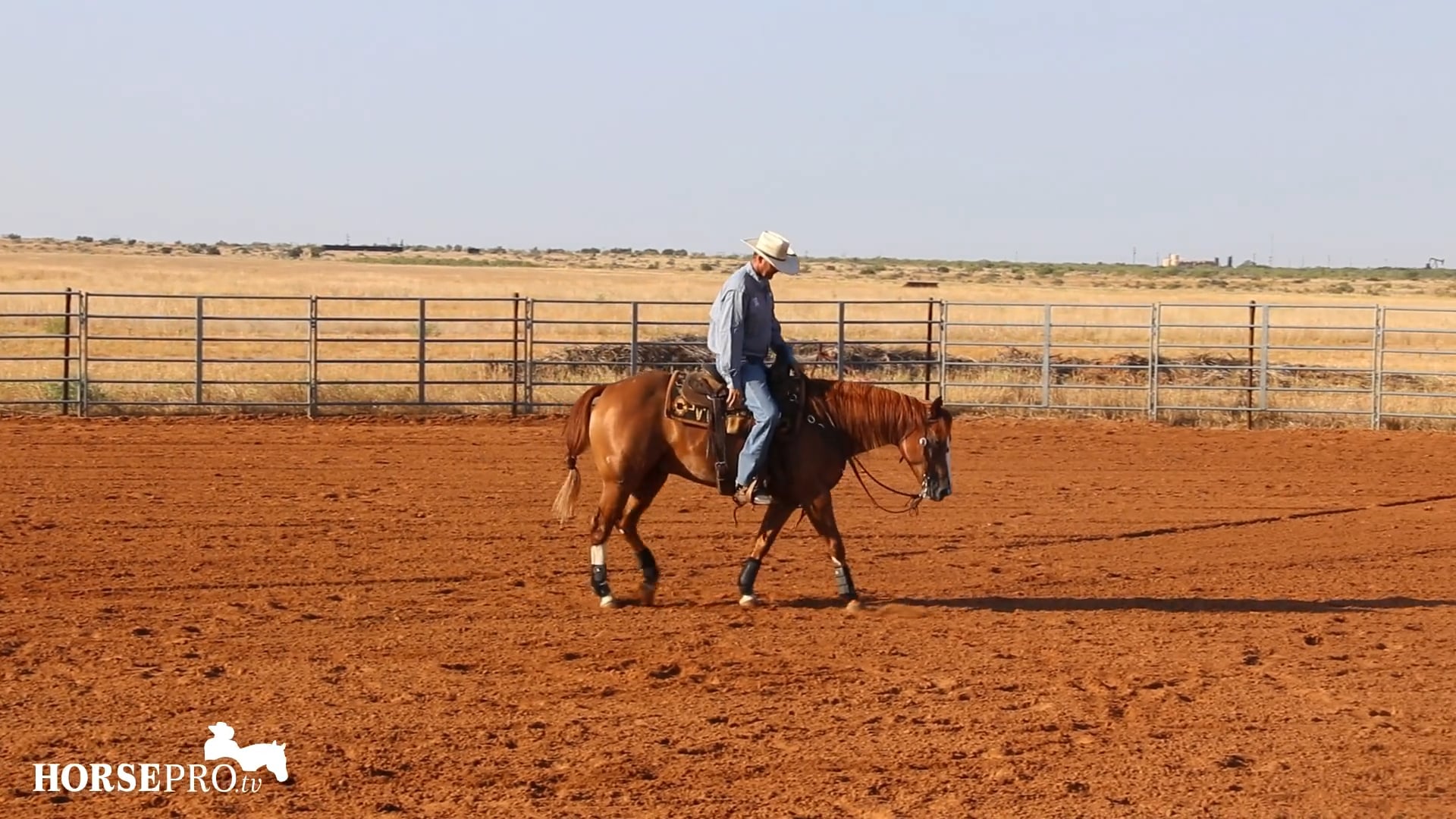 Advancing a Horse in Fencing and Stopping