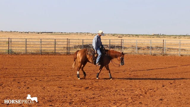 Advancing a Horse in Fencing and Stop...