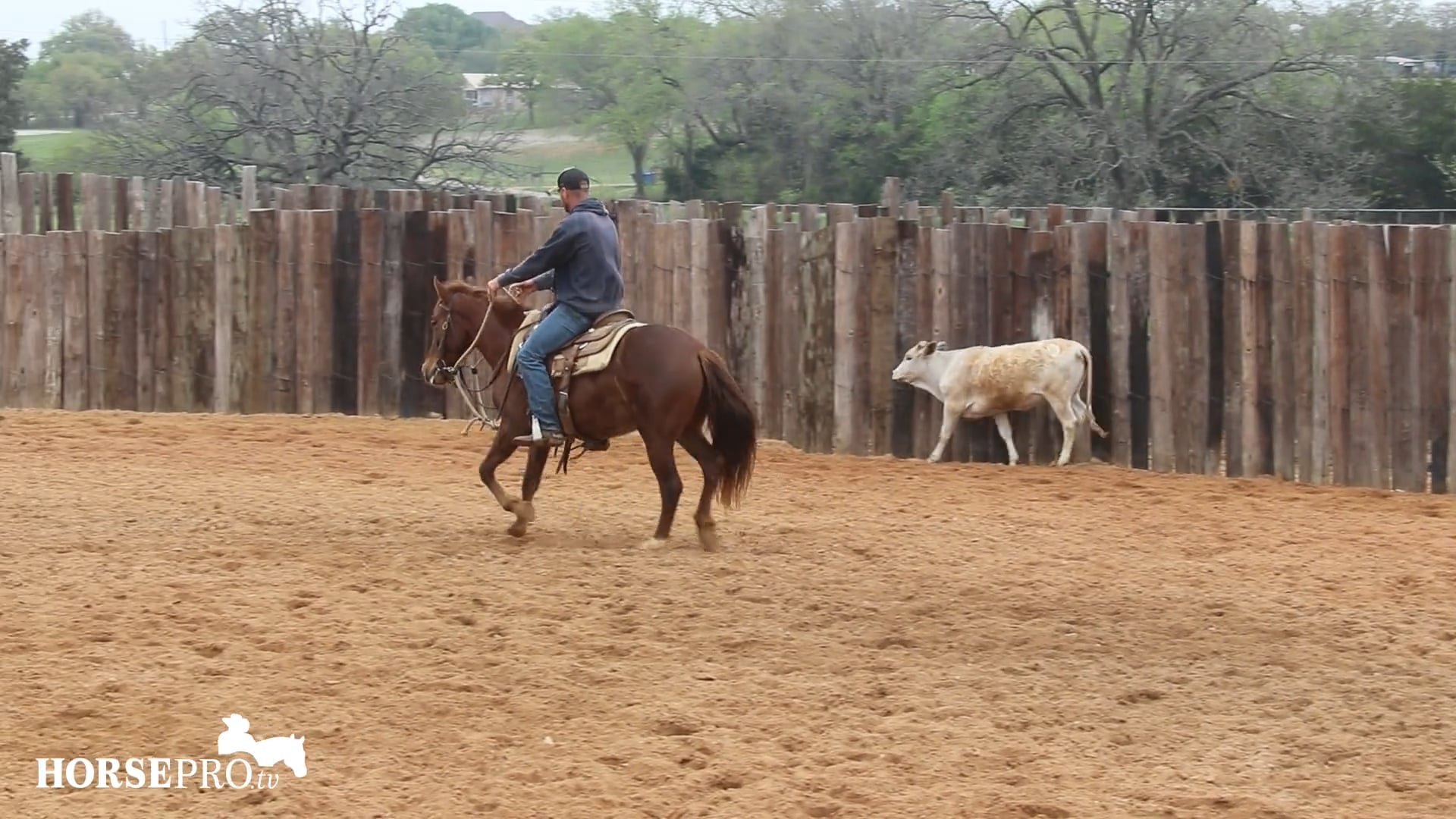 Episode 12: Ranch Mare Week 10 of 3 Year Old Year and Queen L Week 10 of 2 Year Old Year