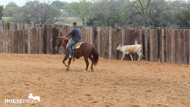 Episode 12: Ranch Mare Week 10 of 3 Y...